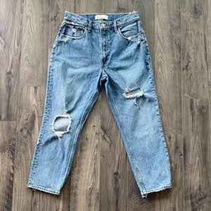 Abercrombie and Fitch High Rise Mom Jean 30/10 Short